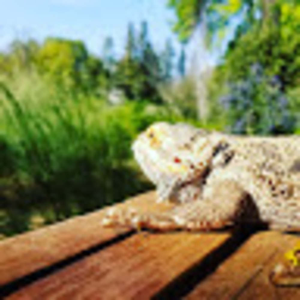 Meet your Posher, Natalie